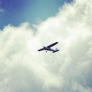 Meet your Posher, Laurie